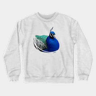 Peacock Crewneck Sweatshirt